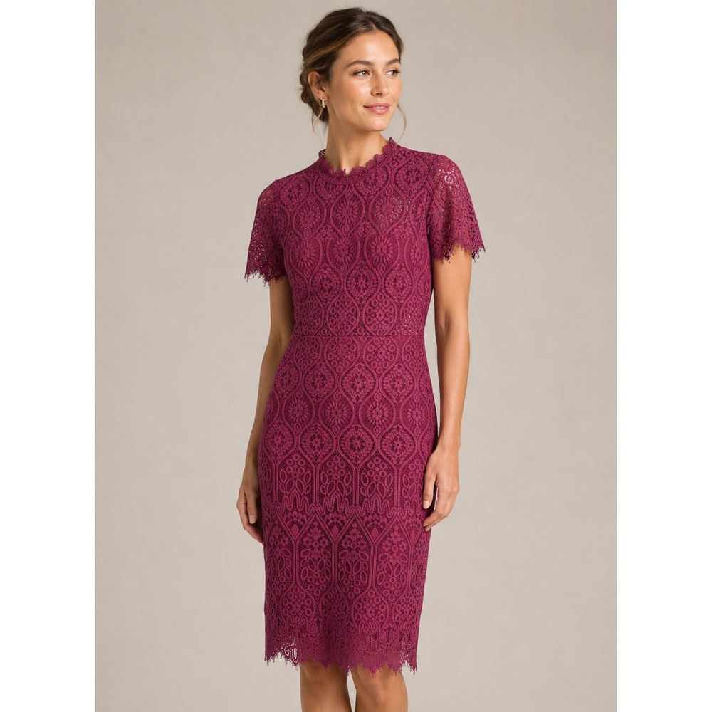 Berry Lace Sheath‎ Dress Short Sleeve Scalloped Neckline Size M